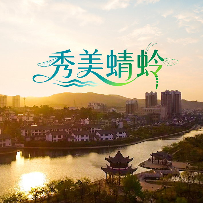 《秀美蜻蛉》